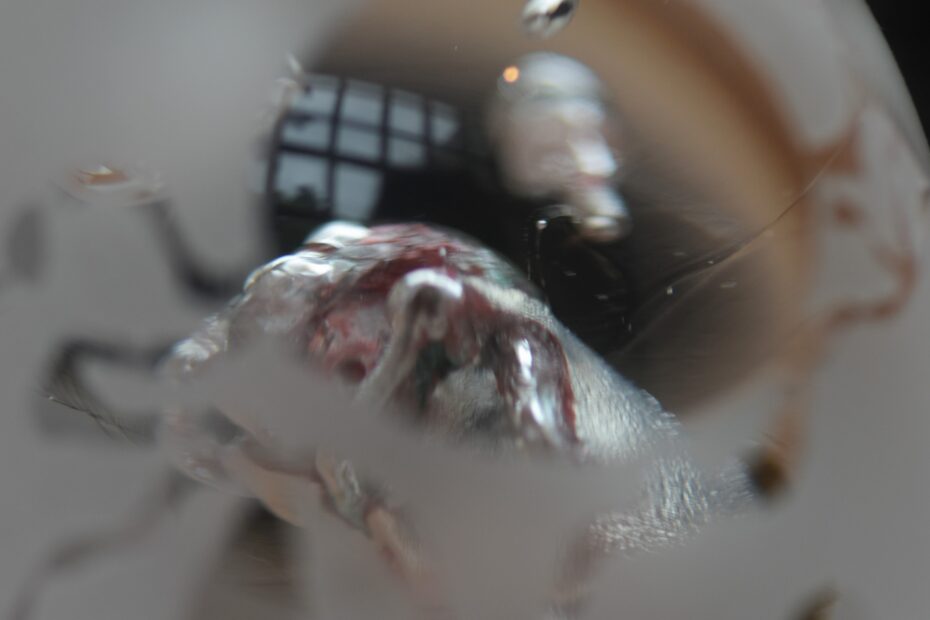 JPG_6382
