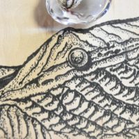 JPG_3244