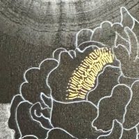 黒椿